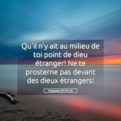 Picture 05 - Psaumes 81:9 LSG - Qu'il n'y ait au milieu de toi point de dieu - Bible Verse Picture