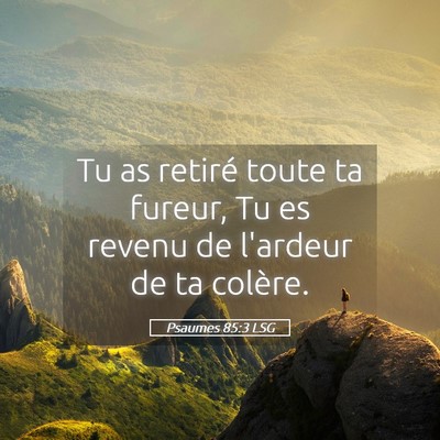 Picture 05 - Psaumes 85:3 LSG - Tu as retiré toute ta fureur, Tu es revenu de - Bible Verse Picture
