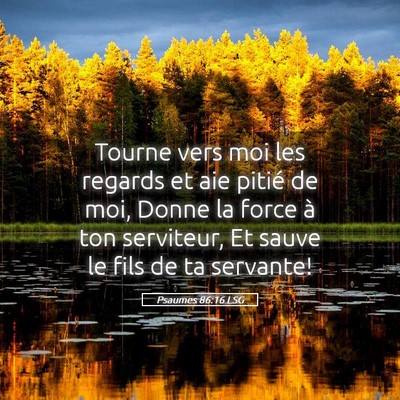Picture 05 - Psaumes 86:16 LSG - Tourne vers moi les regards et aie pitié de moi, - Bible Verse Picture