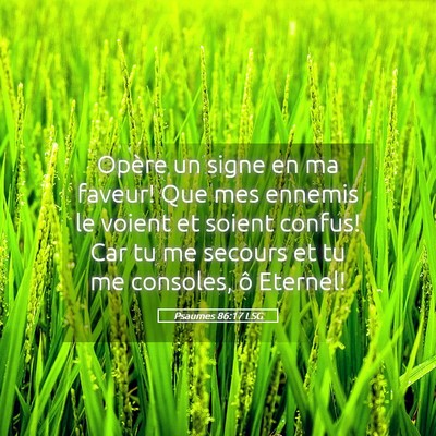 Picture 05 - Psaumes 86:17 LSG - Opère un signe en ma faveur! Que mes ennemis le - Bible Verse Picture