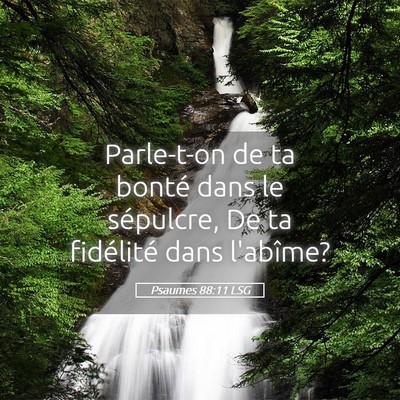 Picture 05 - Psaumes 88:11 LSG - Parle-t-on de ta bonté dans le sépulcre, De ta - Bible Verse Picture