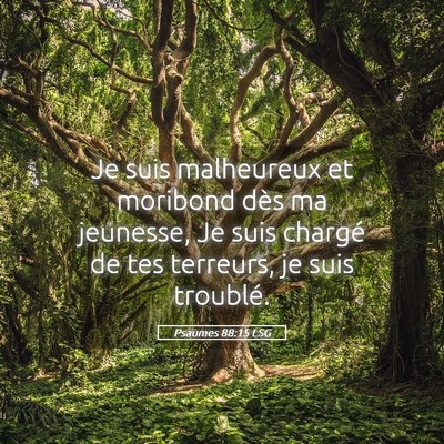 Picture 05 - Psaumes 88:15 LSG - Je suis malheureux et moribond dès ma jeunesse, - Bible Verse Picture