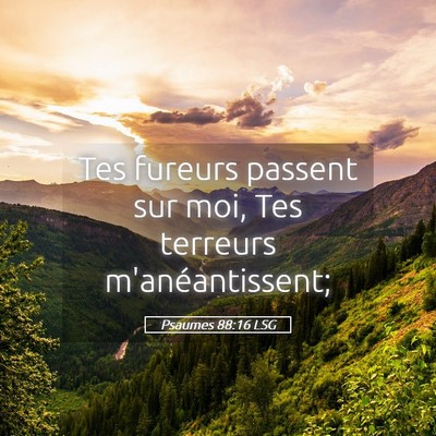 Picture 05 - Psaumes 88:16 LSG - Tes fureurs passent sur moi, Tes terreurs - Bible Verse Picture