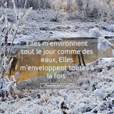 Picture 05 - Psaumes 88:17 LSG - Elles m'environnent tout le jour comme des eaux, - Bible Verse Picture
