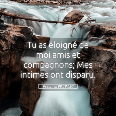 Picture 05 - Psaumes 88:18 LSG - Tu as éloigné de moi amis et compagnons; Mes - Bible Verse Picture