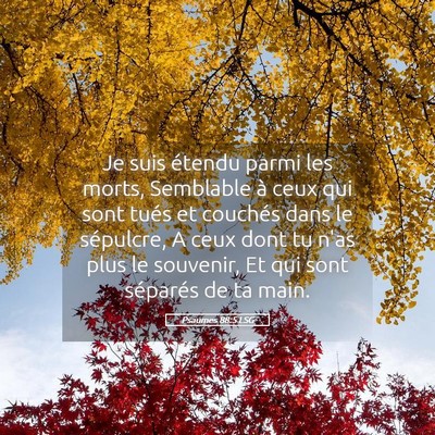 Picture 05 - Psaumes 88:5 LSG - Je suis étendu parmi les morts, Semblable à - Bible Verse Picture