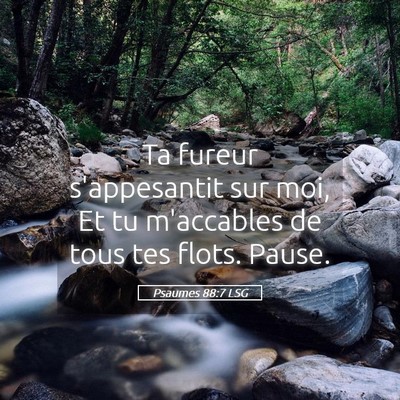 Picture 05 - Psaumes 88:7 LSG - Ta fureur s'appesantit sur moi, Et tu m'accables - Bible Verse Picture
