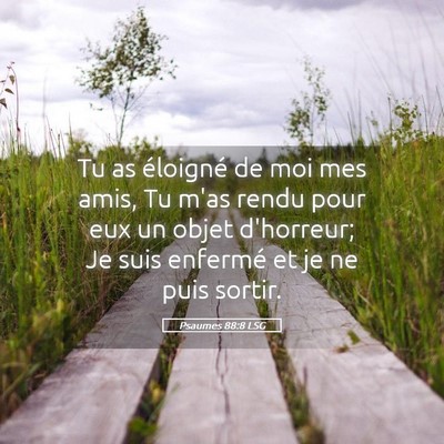 Picture 05 - Psaumes 88:8 LSG - Tu as éloigné de moi mes amis, Tu m'as rendu - Bible Verse Picture