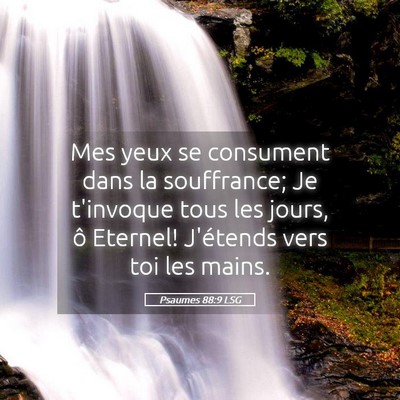 Picture 05 - Psaumes 88:9 LSG - Mes yeux se consument dans la souffrance; Je - Bible Verse Picture