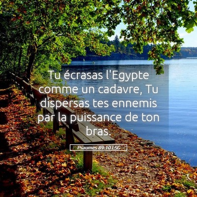 Picture 05 - Psaumes 89:10 LSG - Tu écrasas l'Egypte comme un cadavre, Tu - Bible Verse Picture