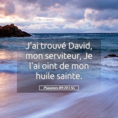 Picture 05 - Psaumes 89:20 LSG - J'ai trouvé David, mon serviteur, Je l'ai oint - Bible Verse Picture