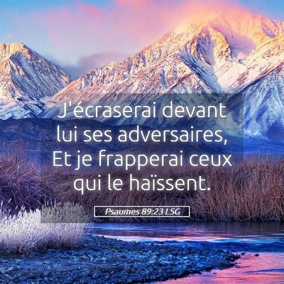 Picture 05 - Psaumes 89:23 LSG - J'écraserai devant lui ses adversaires, Et je - Bible Verse Picture