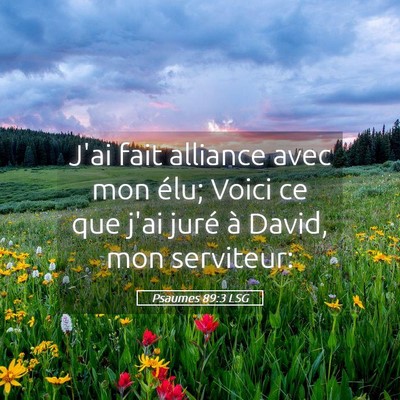Picture 05 - Psaumes 89:3 LSG - J'ai fait alliance avec mon élu; Voici ce que - Bible Verse Picture