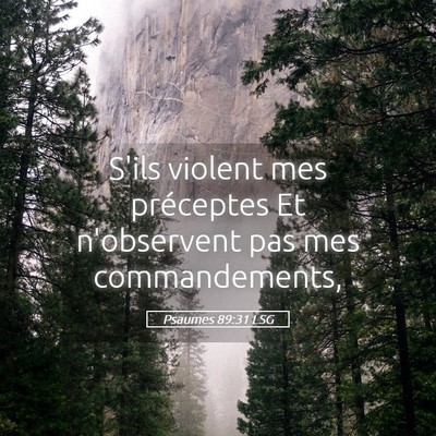 Picture 05 - Psaumes 89:31 LSG - S'ils violent mes préceptes Et n'observent pas - Bible Verse Picture