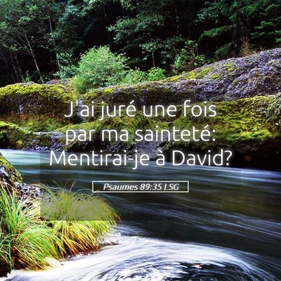 Picture 05 - Psaumes 89:35 LSG - J'ai juré une fois par ma sainteté: Mentirai-je - Bible Verse Picture