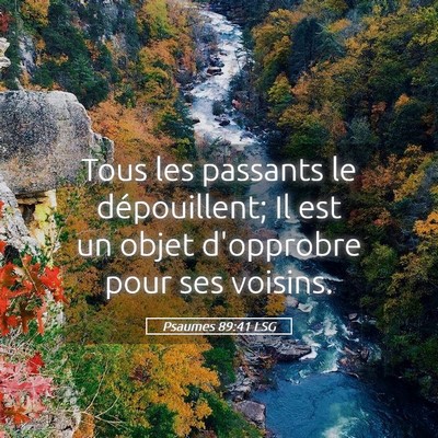 Picture 05 - Psaumes 89:41 LSG - Tous les passants le dépouillent; Il est un - Bible Verse Picture