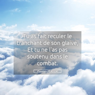 Picture 05 - Psaumes 89:43 LSG - Tu as fait reculer le tranchant de son glaive, Et - Bible Verse Picture