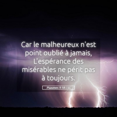 Picture 05 - Psaumes 9:18 LSG - Car le malheureux n'est point oublié à jamais, - Bible Verse Picture