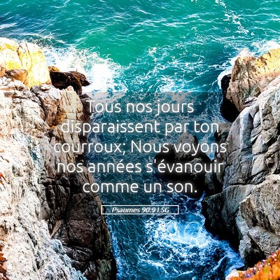 Picture 05 - Psaumes 90:9 LSG - Tous nos jours disparaissent par ton courroux; - Bible Verse Picture