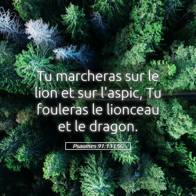 Picture 05 - Psaumes 91:13 LSG - Tu marcheras sur le lion et sur l'aspic, Tu - Bible Verse Picture