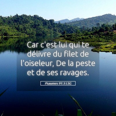Picture 05 - Psaumes 91:3 LSG - Car c'est lui qui te délivre du filet de - Bible Verse Picture