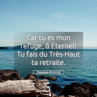 Picture 05 - Psaumes 91:9 LSG - Car tu es mon refuge, ô Eternel! Tu fais du - Bible Verse Picture