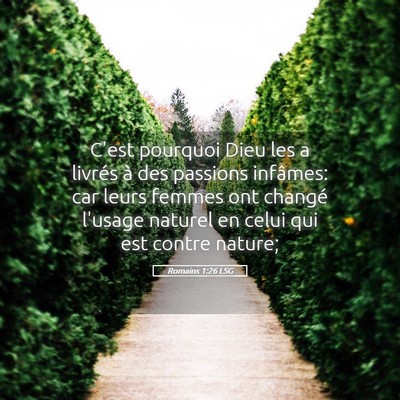 Picture 05 - Romains 1:26 LSG - C'est pourquoi Dieu les a livrés à des passions - Bible Verse Picture