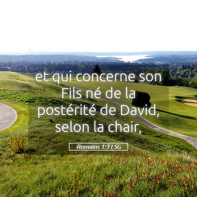 Picture 05 - Romains 1:3 LSG - et qui concerne son Fils né de la postérité de - Bible Verse Picture