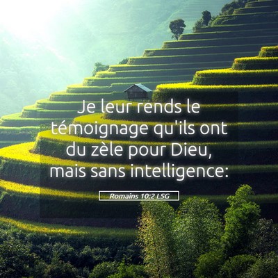 Picture 05 - Romains 10:2 LSG - Je leur rends le témoignage qu'ils ont du zèle - Bible Verse Picture