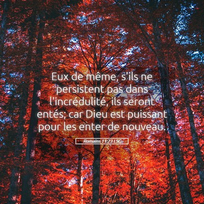 Picture 05 - Romains 11:23 LSG - Eux de même, s'ils ne persistent pas dans - Bible Verse Picture