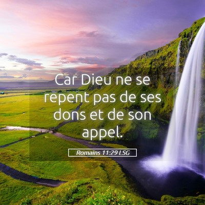 Picture 05 - Romains 11:29 LSG - Car Dieu ne se repent pas de ses dons et de son - Bible Verse Picture