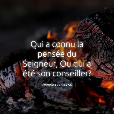 Picture 05 - Romains 11:34 LSG - Qui a connu la pensée du Seigneur, Ou qui a - Bible Verse Picture