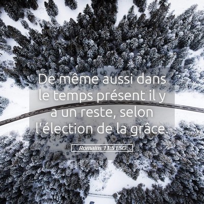 Picture 05 - Romains 11:5 LSG - De même aussi dans le temps présent il y a un - Bible Verse Picture
