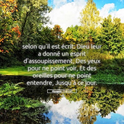 Picture 05 - Romains 11:8 LSG - selon qu'il est écrit: Dieu leur a donné un - Bible Verse Picture