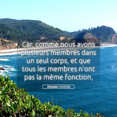 Picture 05 - Romains 12:4 LSG - Car, comme nous avons plusieurs membres dans un - Bible Verse Picture