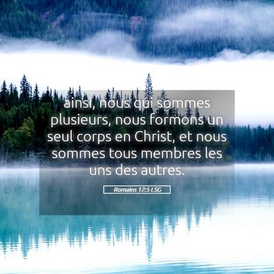 Picture 05 - Romains 12:5 LSG - ainsi, nous qui sommes plusieurs, nous formons un - Bible Verse Picture