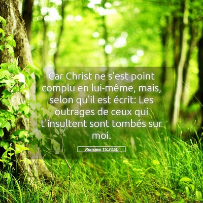 Picture 05 - Romains 15:3 LSG - Car Christ ne s'est point complu en lui-même, - Bible Verse Picture