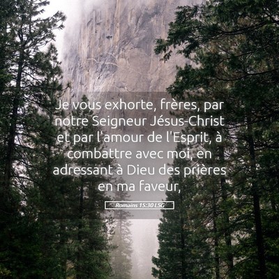 Picture 05 - Romains 15:30 LSG - Je vous exhorte, frères, par notre Seigneur - Bible Verse Picture