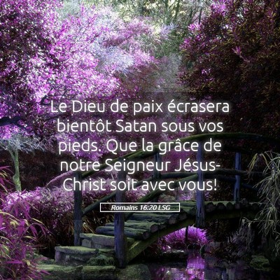 Picture 05 - Romains 16:20 LSG - Le Dieu de paix écrasera bientôt Satan sous vos - Bible Verse Picture