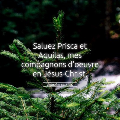 Picture 05 - Romains 16:3 LSG - Saluez Prisca et Aquilas, mes compagnons d'oeuvre - Bible Verse Picture
