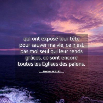 Picture 05 - Romains 16:4 LSG - qui ont exposé leur tête pour sauver ma vie; ce - Bible Verse Picture