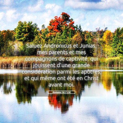 Picture 05 - Romains 16:7 LSG - Saluez Andronicus et Junias, mes parents et mes - Bible Verse Picture