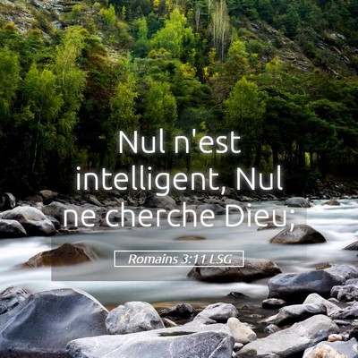 Picture 05 - Romains 3:11 LSG - Nul n'est intelligent, Nul ne cherche - Bible Verse Picture