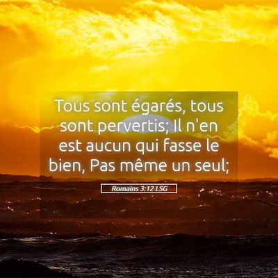 Picture 05 - Romains 3:12 LSG - Tous sont égarés, tous sont pervertis; Il n'en - Bible Verse Picture