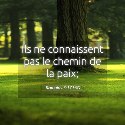 Picture 05 - Romains 3:17 LSG - Ils ne connaissent pas le chemin de la - Bible Verse Picture