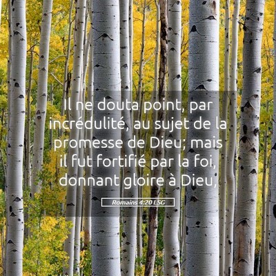 Picture 05 - Romains 4:20 LSG - Il ne douta point, par incrédulité, au sujet de - Bible Verse Picture