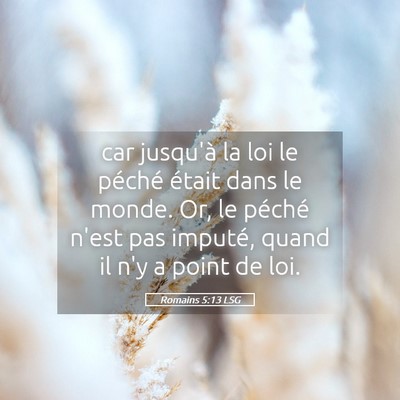Picture 05 - Romains 5:13 LSG - car jusqu'à la loi le péché était dans le - Bible Verse Picture