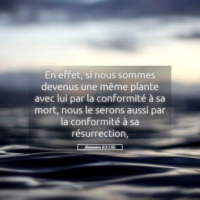 Picture 05 - Romains 6:5 LSG - En effet, si nous sommes devenus une même plante - Bible Verse Picture