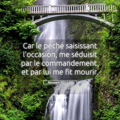 Picture 05 - Romains 7:11 LSG - Car le péché saisissant l'occasion, me - Bible Verse Picture