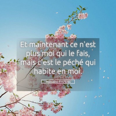 Picture 05 - Romains 7:17 LSG - Et maintenant ce n'est plus moi qui le fais, mais - Bible Verse Picture